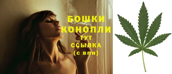 прущие крисы Краснослободск