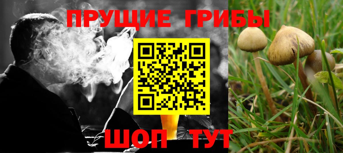 дарнет шоп  Псилоцибиновые грибы прущие грибы  Вход с VPN  Чебаркуль 