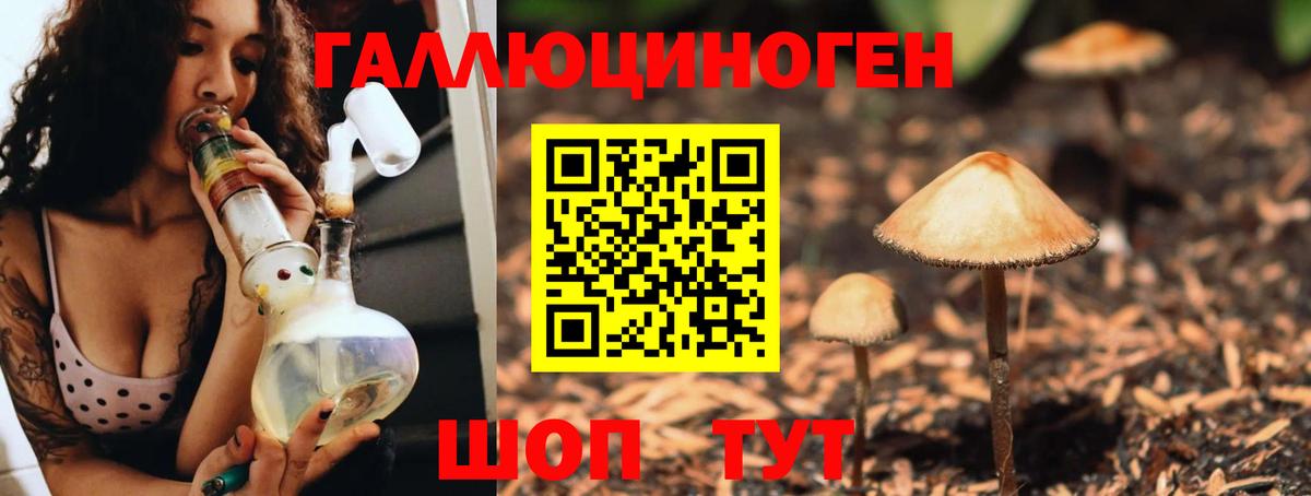Галлюциногенные грибы Psilocybine cubensis Чебаркуль