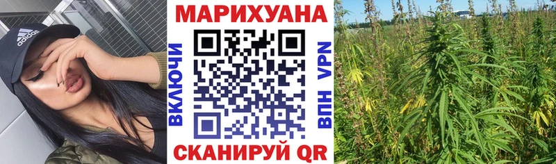 Канабис индика  Чебаркуль 